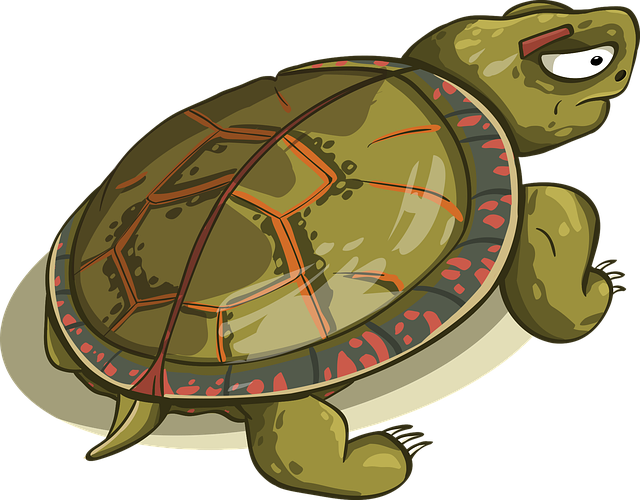 Al momento stai visualizzando 4 Motivi per preferire un fornitore veloce ad una tartaruga…